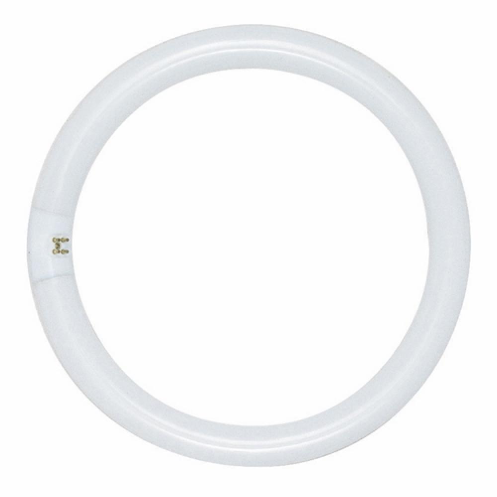 Satco Products, Inc. S6504
