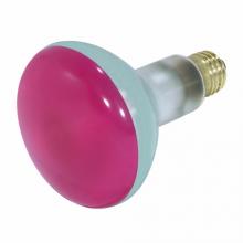 Satco Products, Inc. S3213 - Satco Products, Inc. S3213