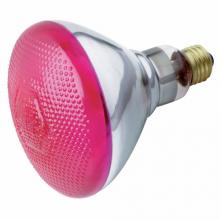 Satco Products, Inc. S5007 - Satco Products, Inc. S5007