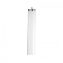 Satco Products, Inc. S6542 - Satco Products, Inc. S6542