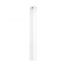 Satco Products, Inc. S6559 - Satco Products, Inc. S6559