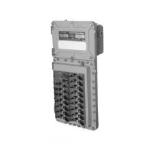 Appleton D2P25B24-3MB50-21201-DV-GJ-NP - Emerson Electric D2P25B24-3MB50-21201-DV-GJ-NP