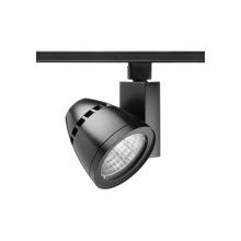 Acuity Brands T262L-4K-F-BL - Acuity Brands T262L4KFBL