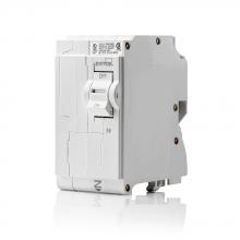 Leviton LB250 - Leviton LB250