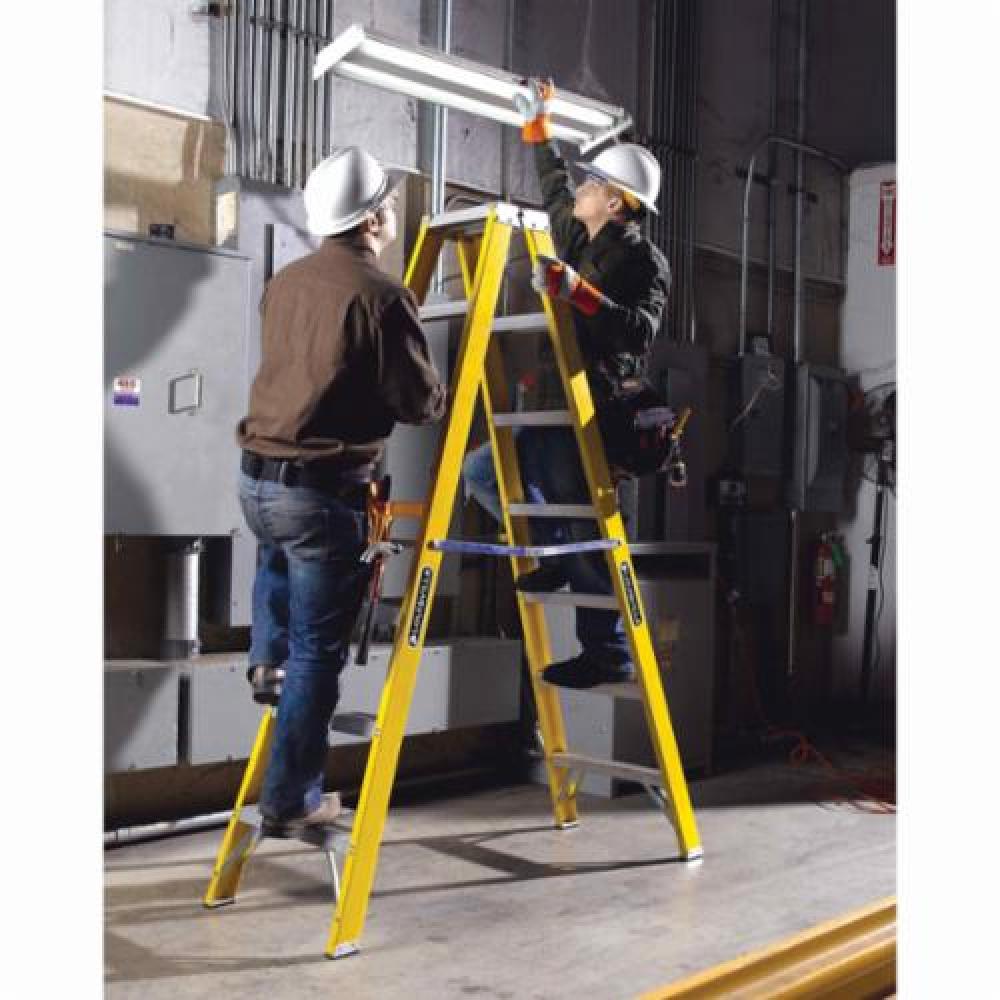 Louisville Ladder FM2010