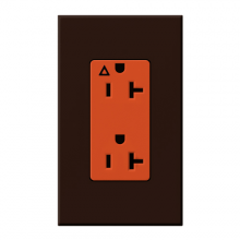 Lutron NTR-20-IG-OR-BR - Lutron NTR20IGORBR