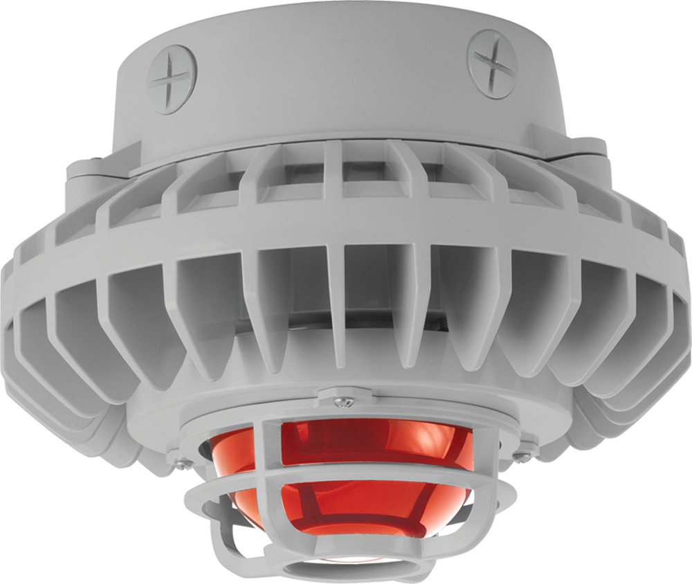 RAB Lighting HAZXLED80FR-DG