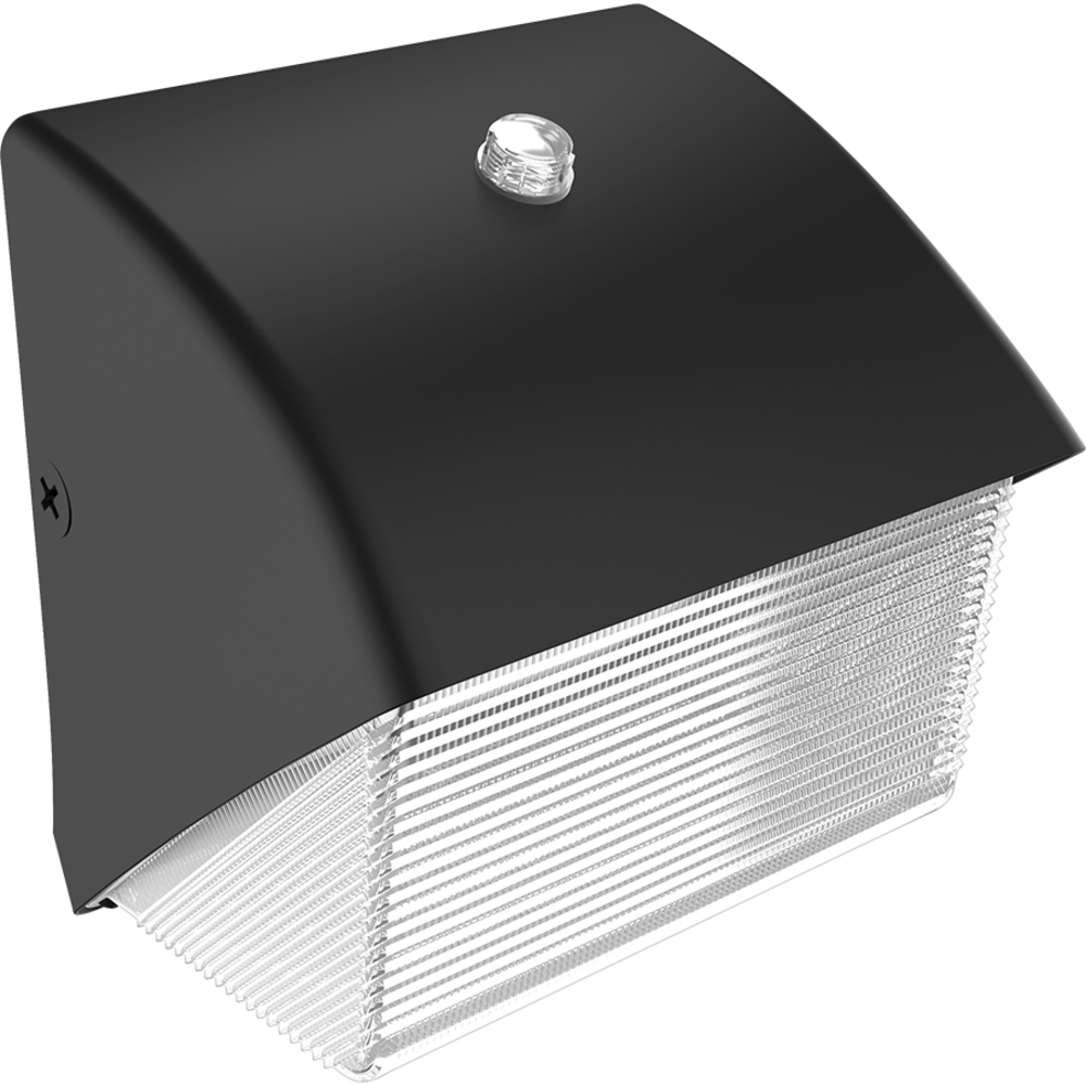 RAB Lighting WP1LED39L-740U/PCS