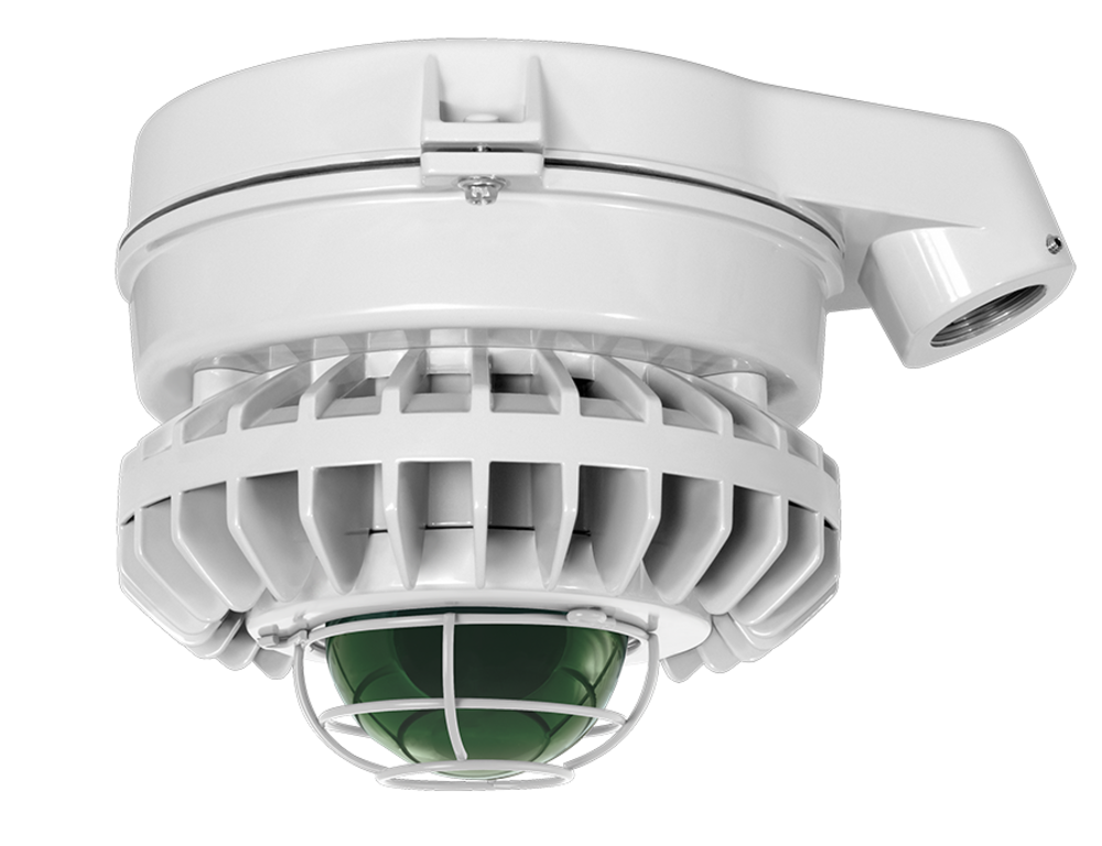 RAB Lighting WP3LED150L-750WU