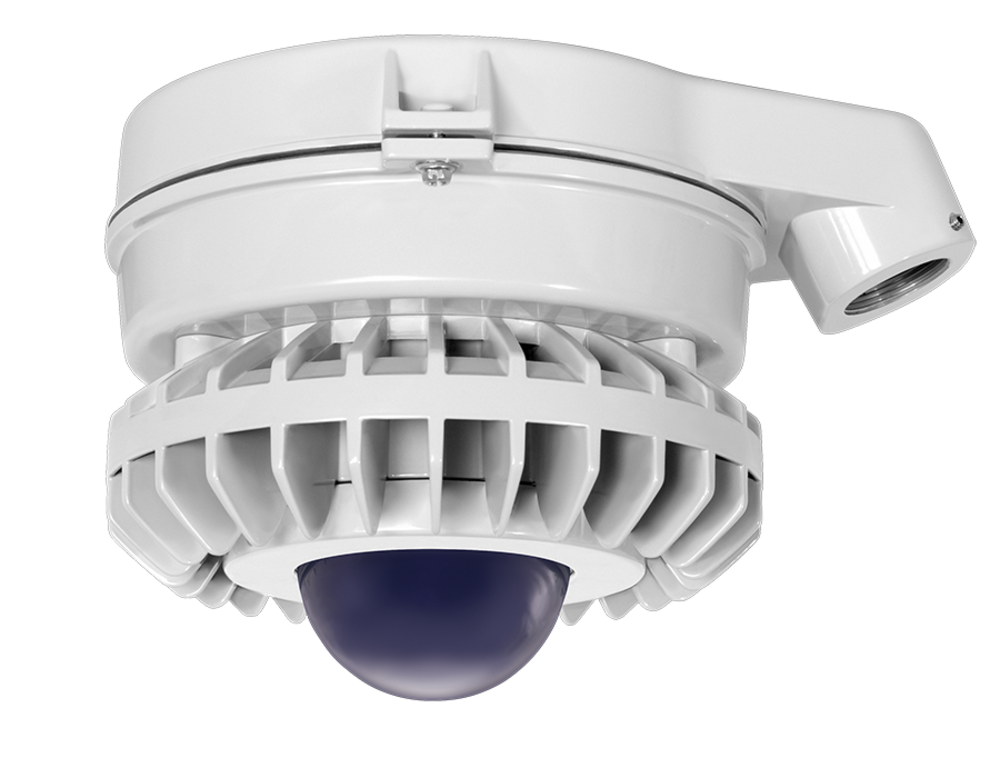 RAB Lighting WPLED3T66N/PCT