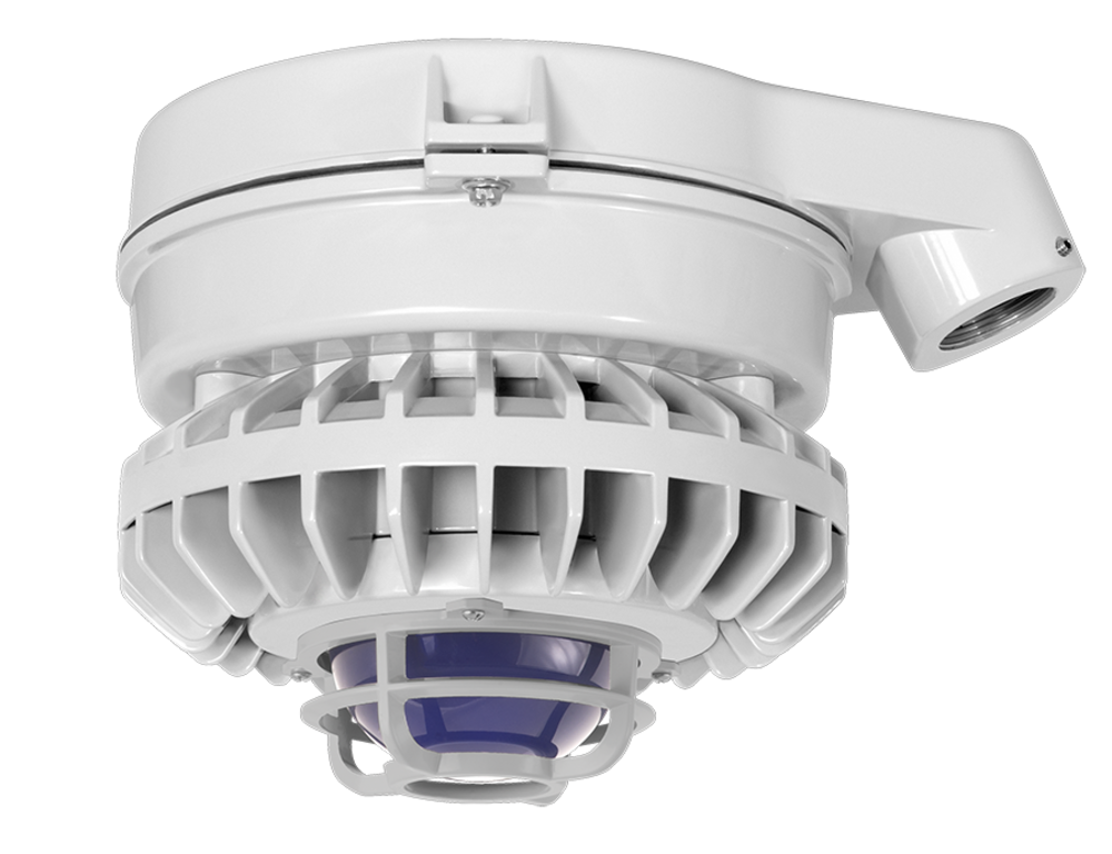 RAB Lighting HAZSLED80FB-DG