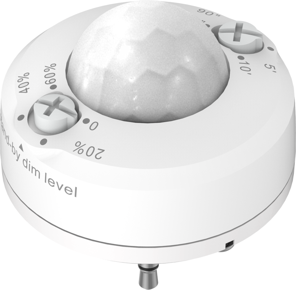 RAB Lighting WPTLED25YW/D10/PC2