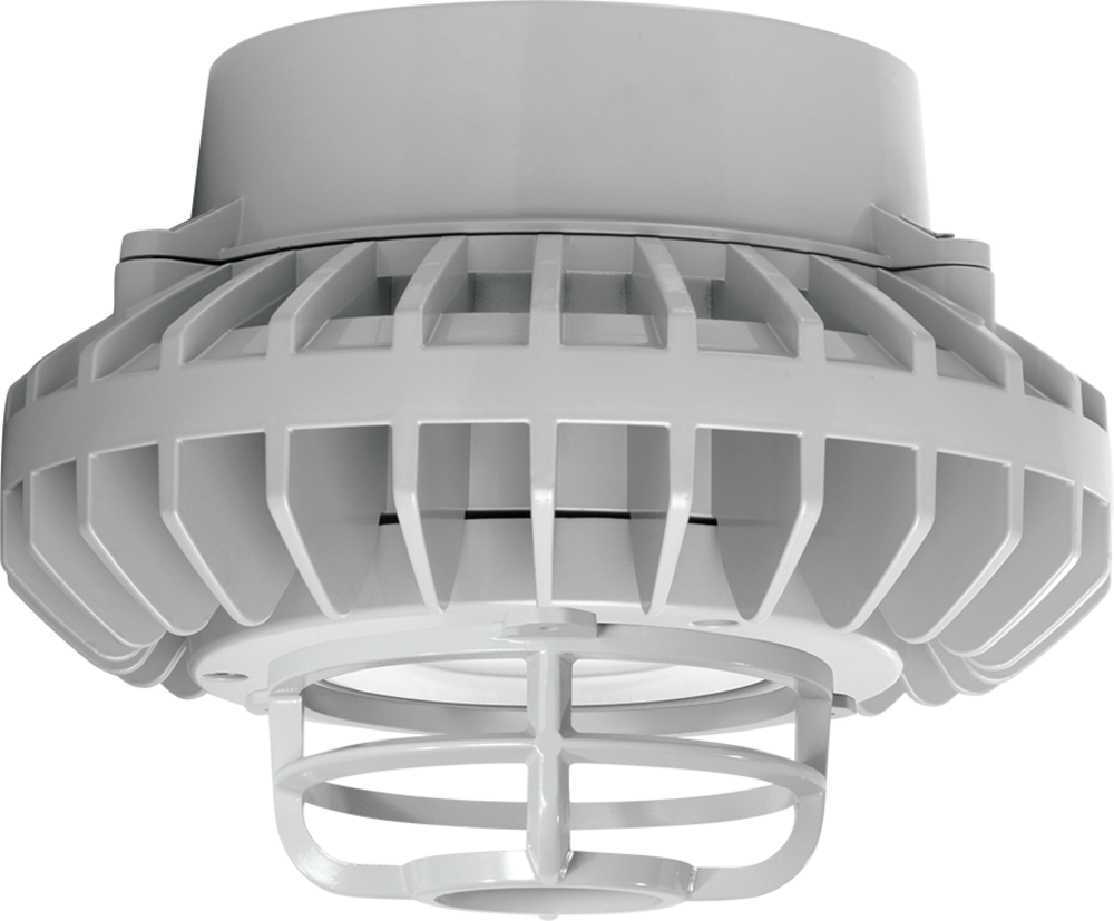 RAB Lighting WPLED26N/D10