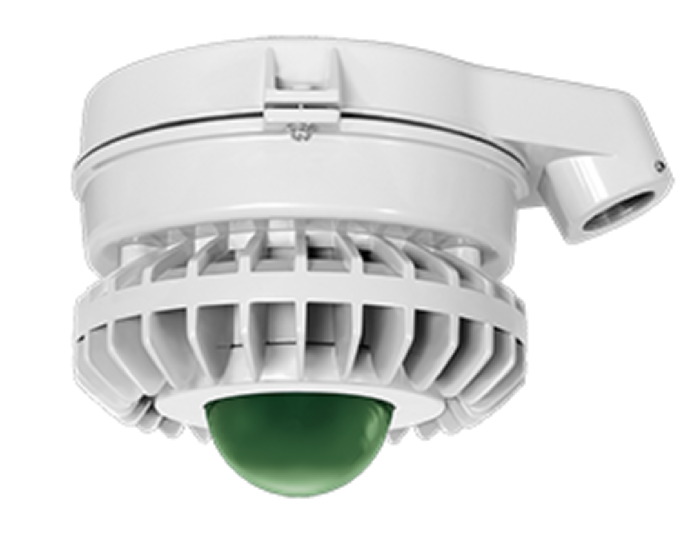 RAB Lighting WPLED2T50N/BL