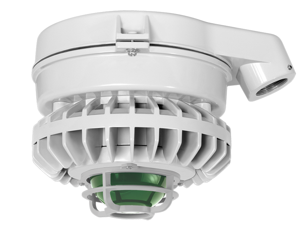 RAB Lighting WPTLED40N/D10/PC2