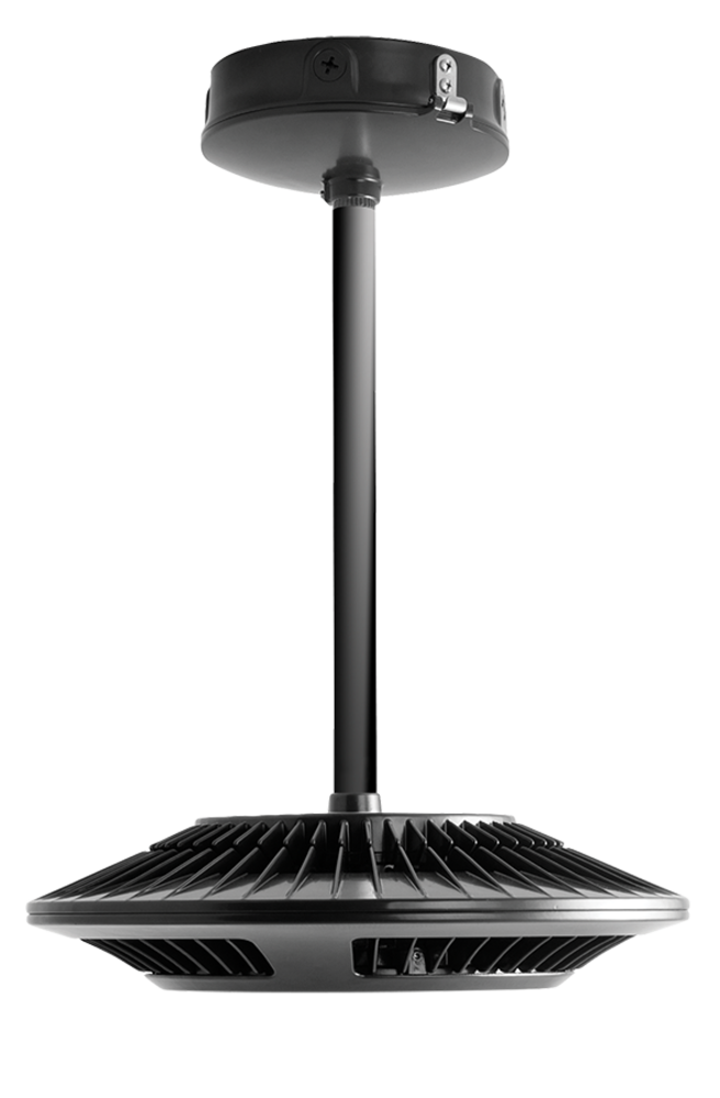RAB Lighting PLED78NBB/BL