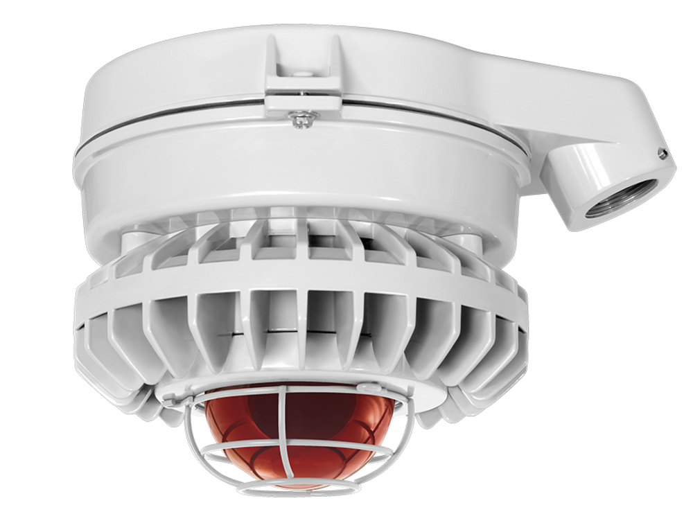 RAB Lighting WPLED26NW/E
