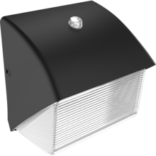 RAB Lighting WP1LED39L-740U/PCS - RAB Lighting WP1LED39L-740U/PCS