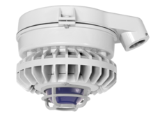 RAB Lighting HAZSLED80FB-DG - RAB Lighting HAZSLED80FB-DG