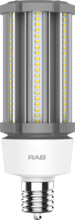 RAB Lighting HID-27-EX39-830-BYP-PT - RAB Lighting HID-27-EX39-830-BYP-PT