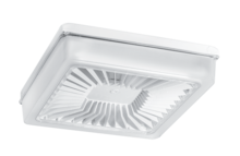 RAB Lighting KNOOKFA8W - RAB Lighting KNOOKFA8W