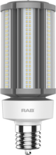 RAB Lighting HID-54-EX39-830-BYP-PT - RAB Lighting HID-54-EX39-830-BYP-PT