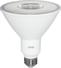 RAB Lighting WPLED2T105 - RAB Lighting WPLED2T105
