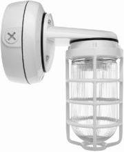 RAB Lighting IVAT5S-45LPA730ZU/7PR - RAB Lighting IVAT5S-45LPA730ZU/7PR