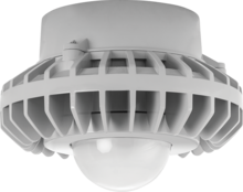 RAB Lighting HAZPLED80F/D10 - RAB Lighting HAZPLED80F/D10