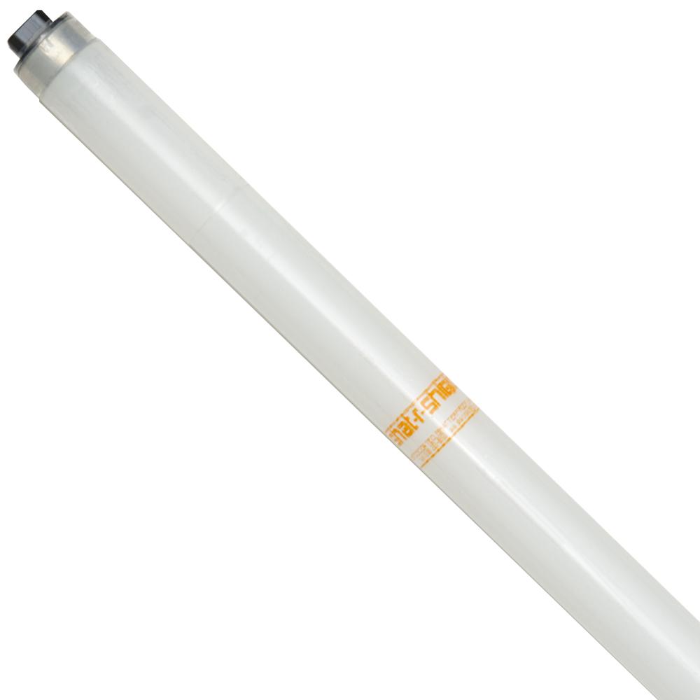 ShatRShield 43558S