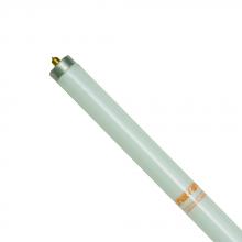 Shat-R-Shield 36012G - ShatRShield 36012G