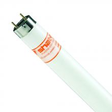 Shat-R-Shield 17032S - ShatRShield 17032S