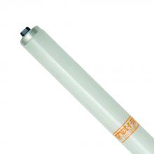 Shat-R-Shield 63133G - ShatRShield 63133G