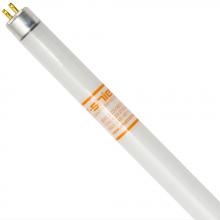 Shat-R-Shield 71541G - ShatRShield 71541G