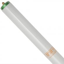 Shat-R-Shield 34028 - ShatRShield 34028