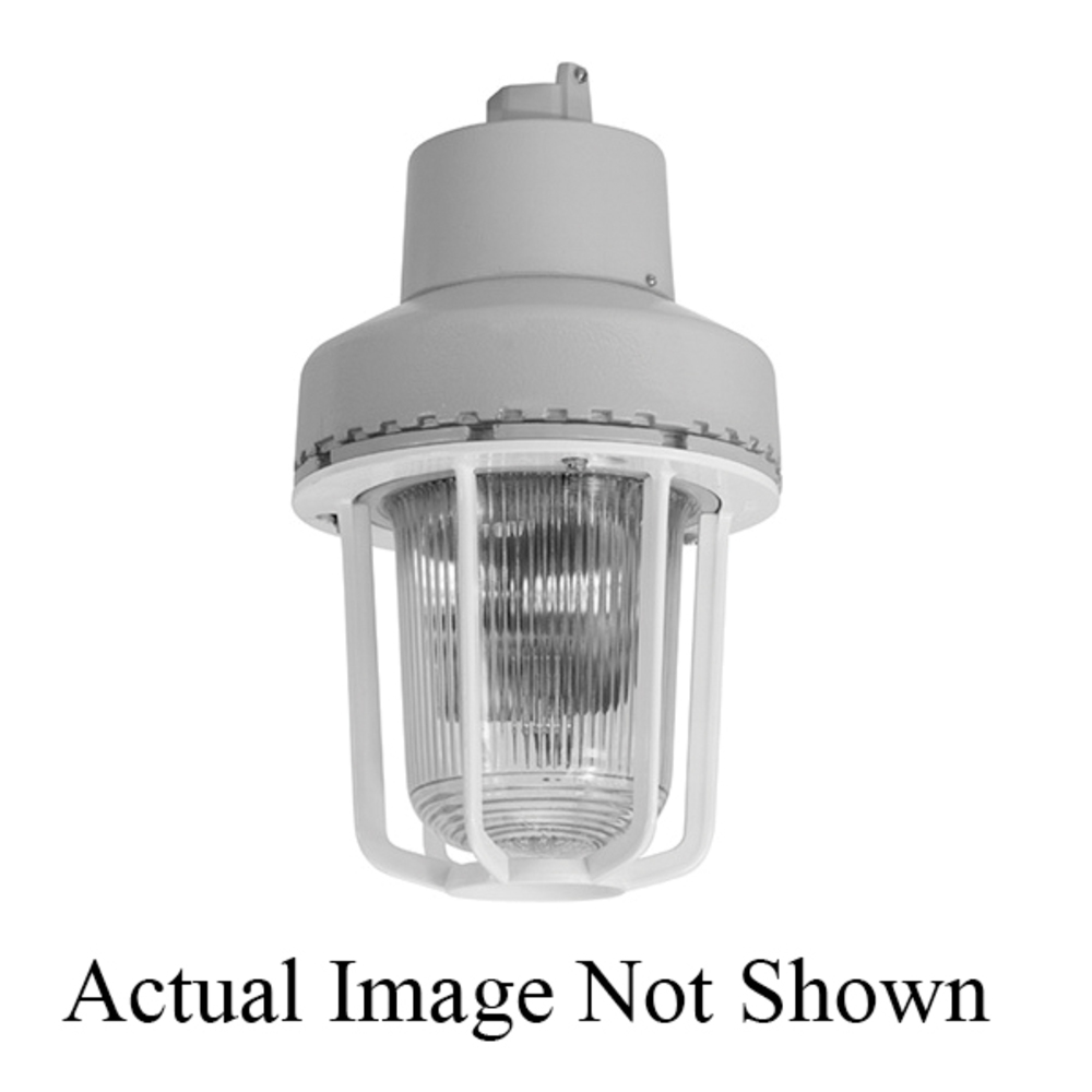 Emerson Electric FS1DCA